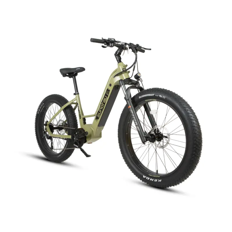 Eunorau FAT-HD Mid Drive Fat Tire Electric Bike – 1000W, 80-Mile Range, Rugged & Powerful