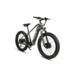 EUNORAU FAT-AWD All Wheel Drive Electric Bike Dual 500W Motors, 80-Mile Range, 375 lb Capacity